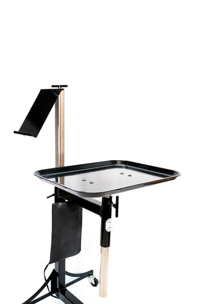 BOWERS ARTIST CART