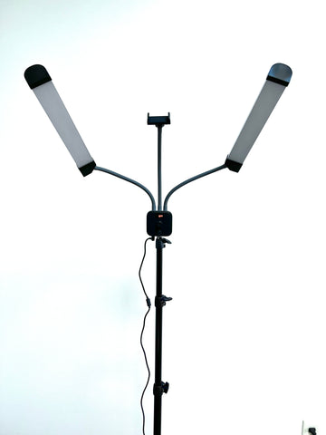 Bowers Supply Dual LED Light