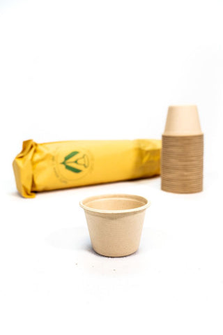 Good Judy Compostable Rinse Cups